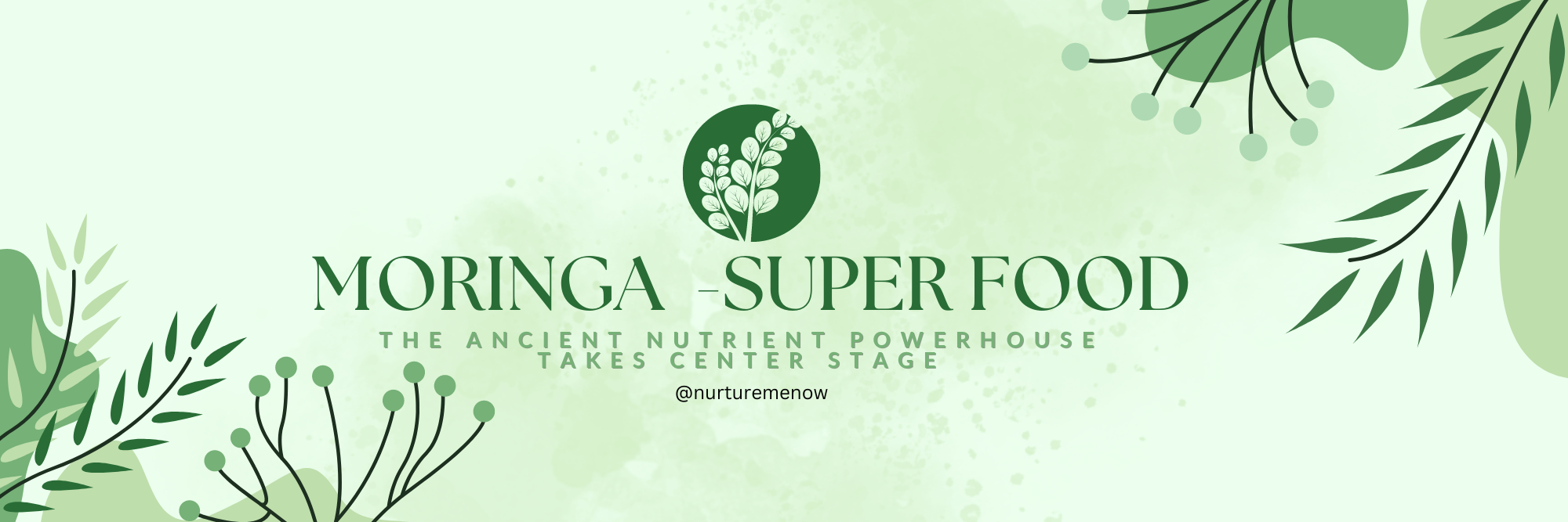 Moringa: The Ancient Nutrient Powerhouse Takes Center Stage