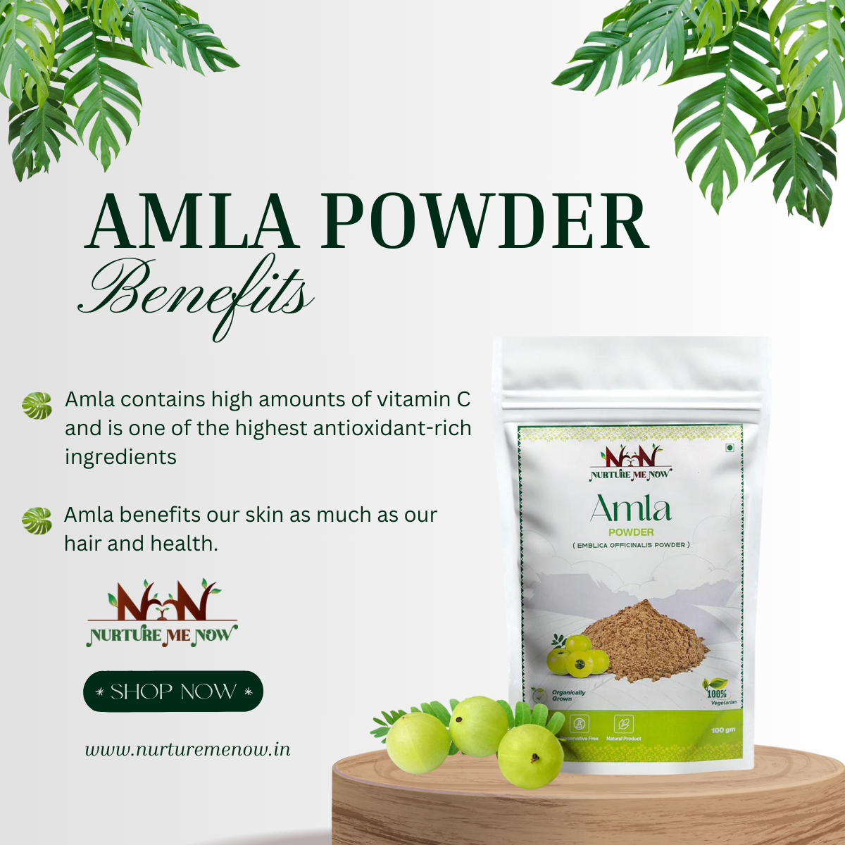 Amla Powder